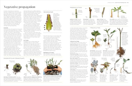 RHS Propagating Plants: How to Grow Plants for Free - Retail Maharaj