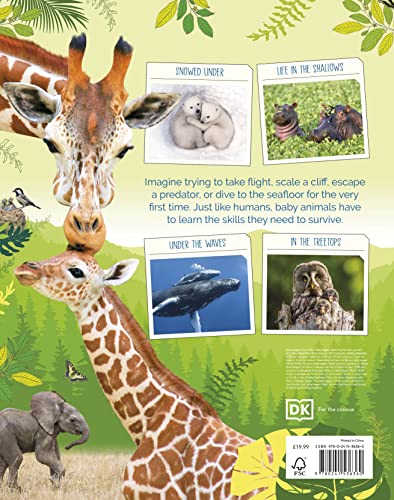 Born to be Wild: How Baby Animals Survive and Thrive - Retail Maharaj