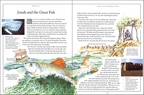 The Children's Pocket Bible - Retail Maharaj