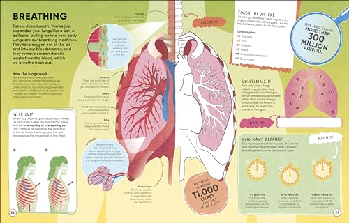 Brain Booster Human Body: Over 100 Mind-Boggling Activities that Make Learning Easy and Fun - Retail Maharaj