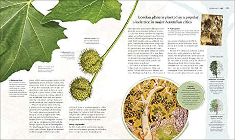 The Tree Book: The Stories, Science, and History of Trees - Retail Maharaj