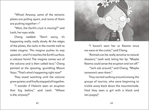 The Secret Explorers and the Smoking Volcano - Retail Maharaj