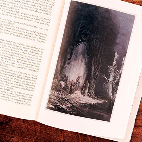 The Fellowship Of The Ring Âillustrated Editionã - Retail Maharaj