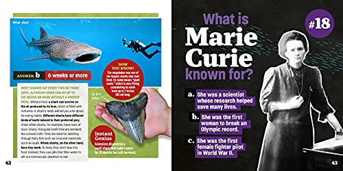 Totally Random Questions Volume 2: 101 Odd and Awesome Q&As