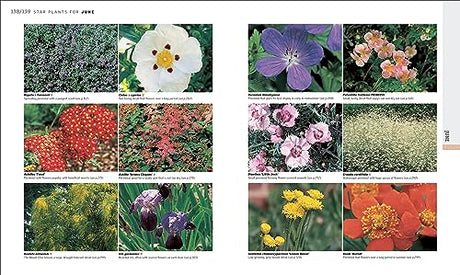 RHS Gardening Through the Year: Month-by-month Planning Instructions and Inspiration - Retail Maharaj