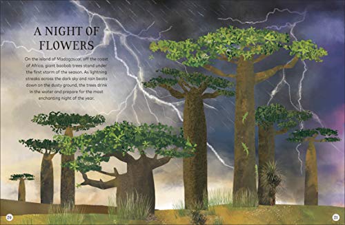 Through the Night Sky: A collection of amazing adventures under the stars (Snap Facts) - Retail Maharaj