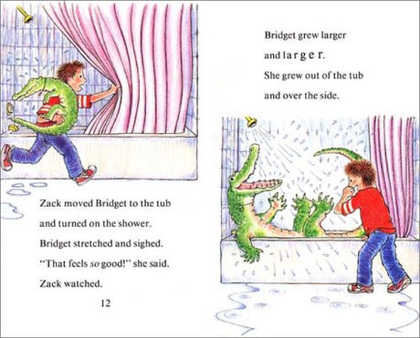 Zack's Alligator - Retail Maharaj