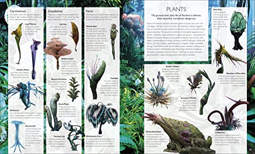 The World of Avatar: A Visual Exploration - Retail Maharaj