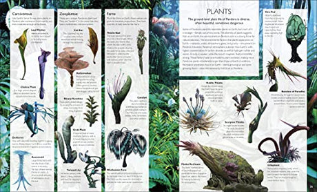 The World of Avatar: A Visual Exploration - Retail Maharaj