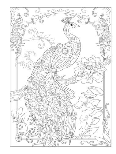 Creative Haven Birds and Blossoms Coloring Book - Retail Maharaj