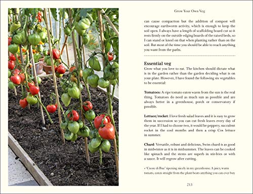 Down to Earth - Retail Maharaj