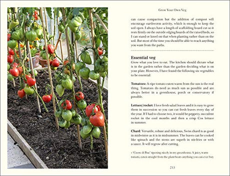 Down to Earth - Retail Maharaj