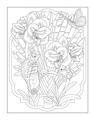 Creative Haven Tropical Wonders Coloring Book