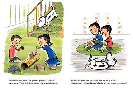 Harry and the Guinea Pig - Retail Maharaj