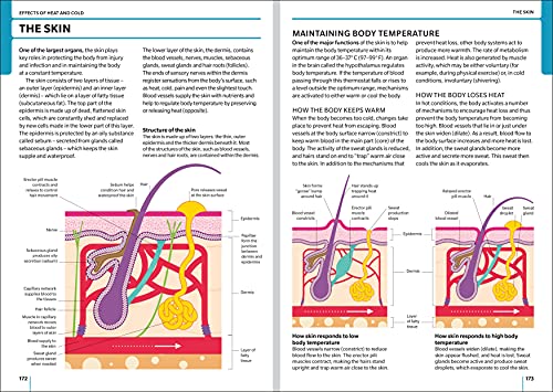 First Aid Manual 11th Edition - Retail Maharaj