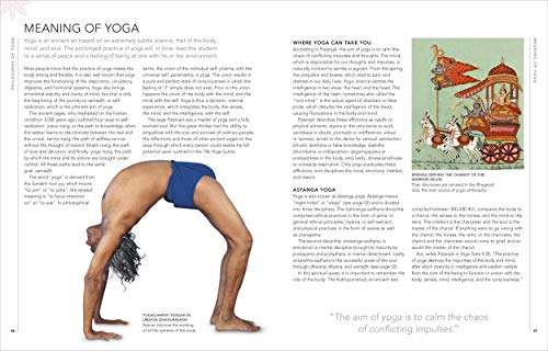 B.K.S. Iyengar Yoga The Path to Holistic Health: The Definitive Step-by-step Guide - Retail Maharaj