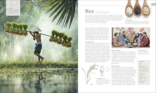 The Food Book: The Stories, Science, and History of What We Eat - Retail Maharaj