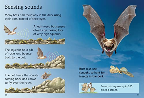 BATS - Retail Maharaj