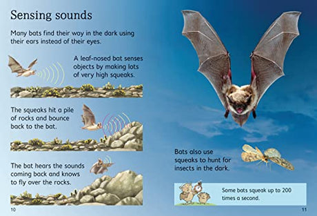BATS - Retail Maharaj
