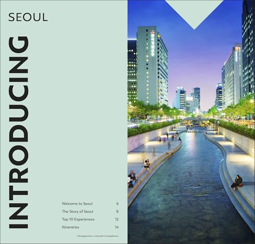 DK Top 10 Seoul - Retail Maharaj