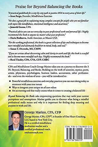 Beyond Balancing the Books: Sheer Mindfulness for Professionals in Work and Life - Retail Maharaj