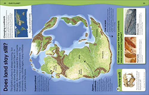 Why Does the Earth Need the Moon?: With 200 Amazing Questions About Our Planet (Why? Series) - Retail Maharaj