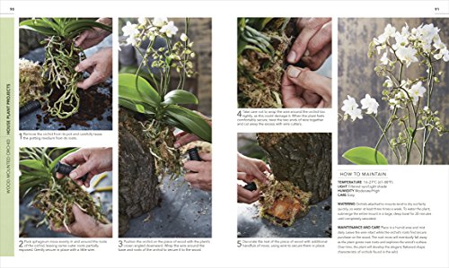 RHS Practical House Plant Book - Retail Maharaj