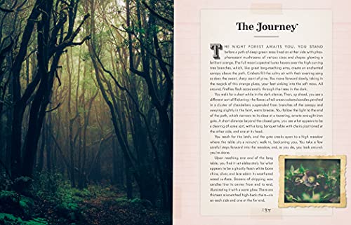 Bohemian Magick - Retail Maharaj