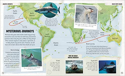 Amazing Animal Journeys: The Most Incredible Migrations in the Natural World - Retail Maharaj