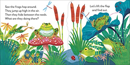 Pop-Up Peekaboo! Frog: Pop-Up Surprise Under Every Flap! - Retail Maharaj