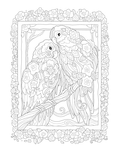 Creative Haven Birds and Blossoms Coloring Book - Retail Maharaj