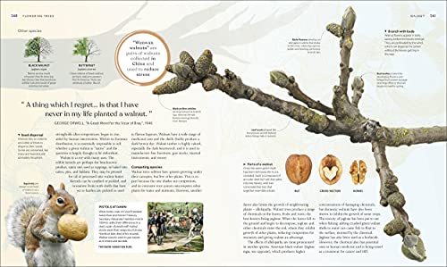 The Tree Book: The Stories, Science, and History of Trees - Retail Maharaj