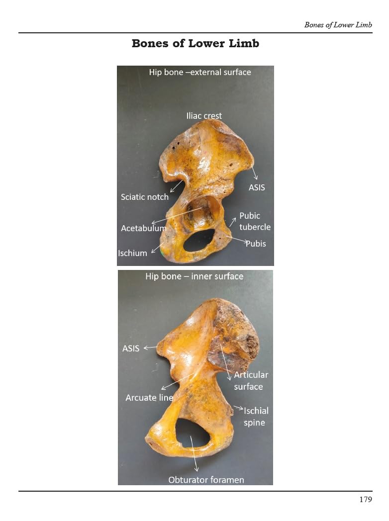 Competency Based Human Anatomy Set of 3 Volumes (Second Edition) - Retail Maharaj
