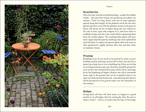 Down to Earth - Retail Maharaj