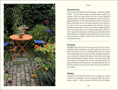 Down to Earth - Retail Maharaj