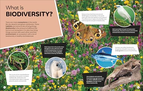 DK Super Planet Beautiful Biodiversity - Retail Maharaj