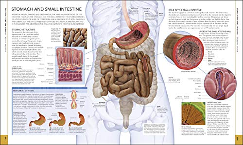The Human Body Book - Retail Maharaj