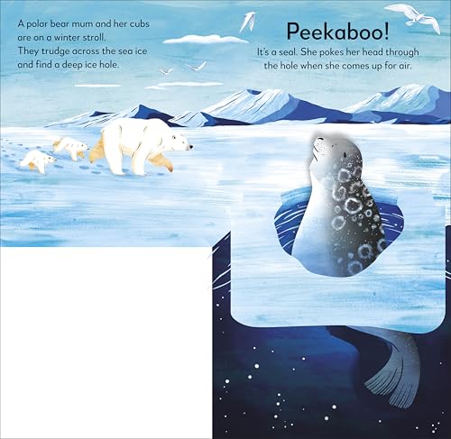 Pop-up Peekaboo! Winter: Pop-Up Surprise Under Every Flap! - Retail Maharaj