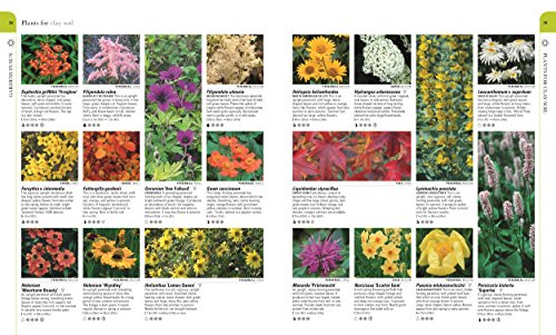 RHS What Plant Where Encyclopedia - Retail Maharaj