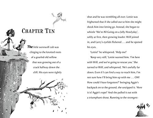 Lottie Luna and the Fang Fairy: Book 3 - Retail Maharaj