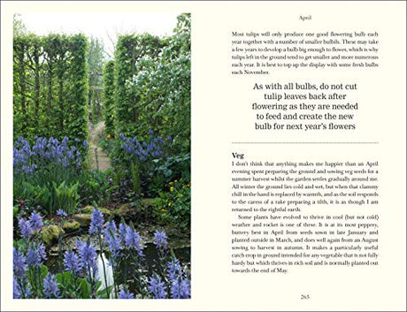 Down to Earth - Retail Maharaj