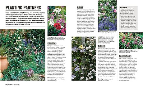 Grow Roses: Essential Know-how and Expert Advice for Gardening Success - Retail Maharaj