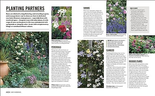 Grow Roses: Essential Know-how and Expert Advice for Gardening Success - Retail Maharaj