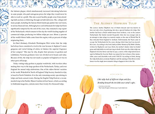 The Language of Flowers - Retail Maharaj