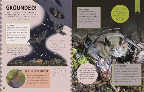 Odd Animals Out (Wonders of Wildlife) - Retail Maharaj