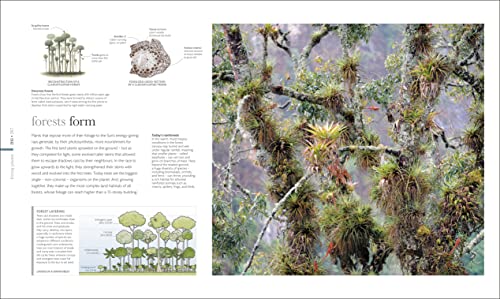 The Science of the Earth: The Secrets of Our Planet Revealed - Retail Maharaj