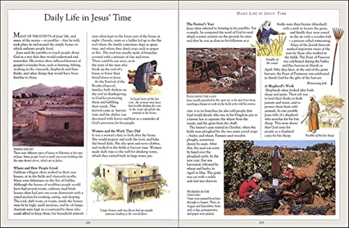 The Children's Pocket Bible - Retail Maharaj