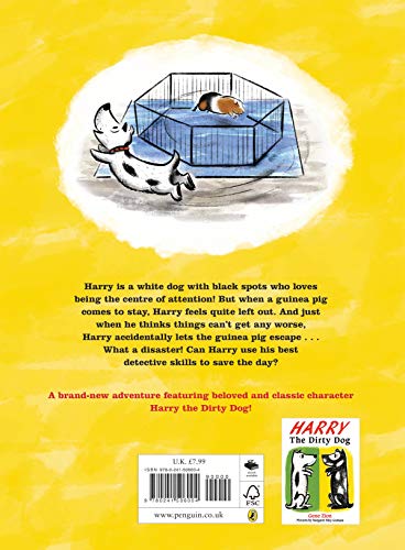 Harry and the Guinea Pig - Retail Maharaj