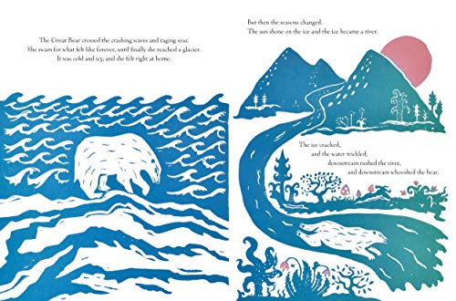 The Bear in the Stars - Retail Maharaj