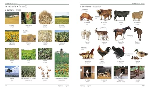 Italian English Bilingual Visual Dictionary (DK Bilingual Visual Dictionaries) - Retail Maharaj